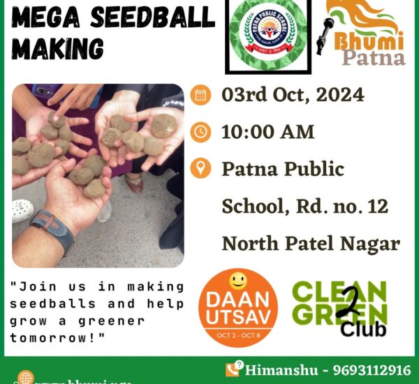 Mega SeedBall Making