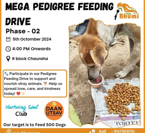 Mega Pedigree Feeding Drive