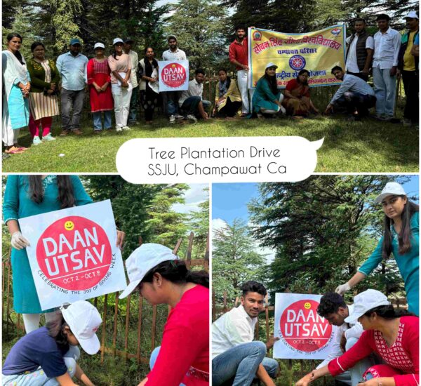 Tree Plantation Drive